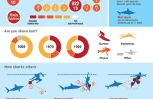 Ataki rekinów