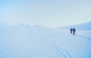 Norwescy bohaterowie polarnego świata