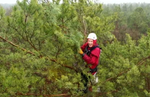 Zawód: SZYSZKARZ. Adrenalina, czyste powietrze i piękne widoki.