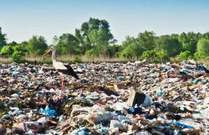 Efekt ustawy śmieciowej? Polska staje się wysypiskiem