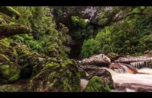 New Zealand Nature 4K ultra HD video