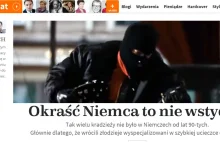 Polak-złodziej okrada Niemców. Portal Lisa mówi jak jest