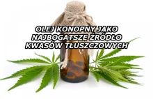 Olej konopny i jego niezwykłe właściwości | Blog