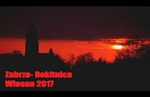 Zabrze-Rokitnica Wiosna 2017