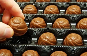 Gigant płacił naukowcom za badania wykazujące, że czekolada jest zdrowa