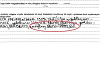 Henryka Krzywonos zarobiła 223 tys. zł, w tym 75 tys. zł z emerytury