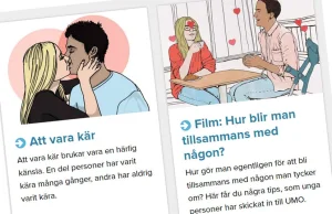 Szwedzi sfinansują imigrantom kurs seksu ze Szwedkami