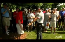 Rory McIlroy trafia piłeczką golfową do kieszeni fana
