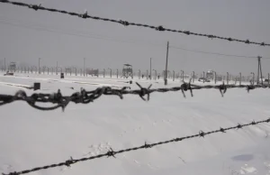 Włoscy turyści ukradli prawie 40cm drutu kolczastego z Auschwitz