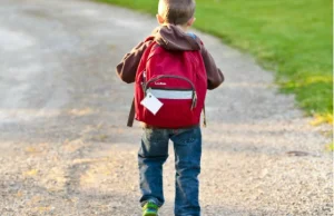 Lepiej więcej inwestować w edukację niż w innowacje