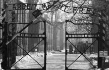 „Arbeit macht frei” – to po nazistowsku?”. W Londynie przeciw „polskim...