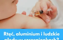 Składniki szczepionek bez tajemnic