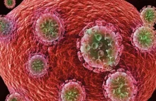 Przełom w walce z HIV? Badacze całkowicie wyeliminowali wirusa u myszy