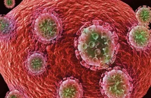 Przełom w walce z HIV? Badacze całkowicie wyeliminowali wirusa u myszy