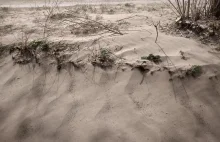 Susza + silny wiatr = burze piaskowe