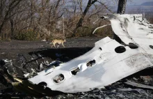 Katastrofa MH17 na Ukrainie: śledczy ustalili, kto zestrzelił malezyjski samolot