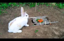 The First Rabbit Trap With Deep Hole by Smart Boy - How To Trap Rabbit...