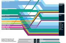 Które narody zużywają najwięcej wody? Ikonografika + opis [ENG]