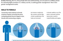 Krótki artykuł i infografika na temat zmiany płci