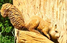ECHO Chain Saw Carving Team Chain Saw Art - rzeźbienie w drzewie