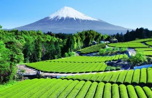 Fudżi w każdej chwili może zmieść Japonię z powierzchni ziemi