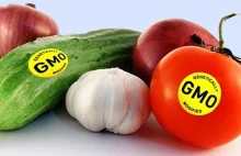 Fundacja Gatesów będzie promować GMO