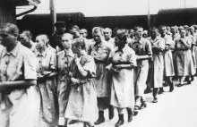 150 kobiet z Auschwitz. Czarna transakcja farmaceutycznego giganta