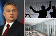 [ENG] Wielki Mur Węgierski - Węgry odgradzają Europę od napływu uchodźców