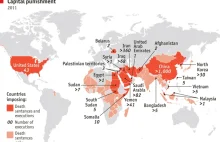 Gdzie mamy najwięcej kar śmierci na świecie? Infografika.