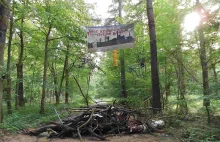 Las Hambach jeszcze przez dwa lata nie zostanie wycięty