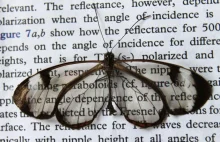 Skrzydła motyla kluczem do tworzenia lepszych wyświetlaczy