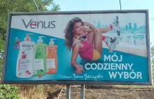 Jabłczyńska twarzą Venus i… pośladkami asfaltu | Rzeczpospolita Babska