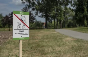 Zakaz wyprowadzania psów do parku w Tychach. Absurd czy słuszna decyzja?