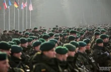 Podwyższony stan gotowości w litewskiej armii :: wojskowość