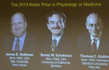 Rothman, Schekman i Suedhof laureatami Nagrody Nobla w dziedzinie medycyny...