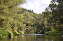 Rzuć wszystko i jedź w Bieszczady