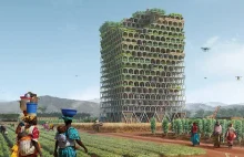 Polscy architekci wygrali konkurs projektem wieżowca w Afryce