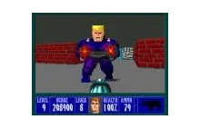 20 lat gry Wolfenstein 3D