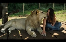 Kobieta i jej lwy