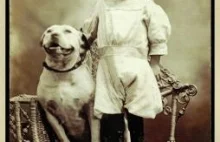 Przez ponad 100 lat w USA Pitbulle służyły do pilnowania dzieci