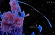 Niesamowite reakcje chemiczne nakręcone przy pomocy kamery 4K UltraHD