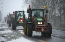 Kontrola alkomatami przetrzebiła siły jadących na Warszawę rolników.