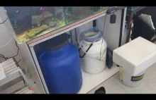 Nowy fish room! Będzie się działo!