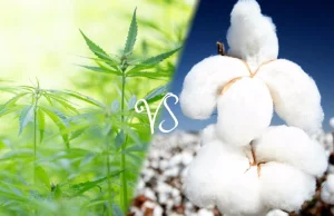 Konopie siewne vs. bawełna - porównanie materiałów | Marihuana Medyczna