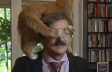 Polski naukowiec udziela wywiadu po angielsku z kotem na głowie