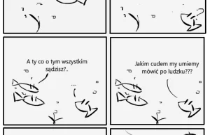 Problemy Rybek