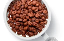 Kawa Kopi Luwak - najdroższa kawa na świecie. Czy próbowaliście kawę z kupy?