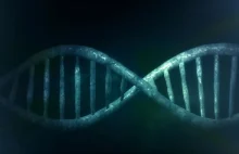 Szwedzi obalili ważną teorię dotyczącą DNA