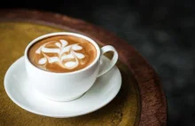 Kawa i drzemka – dlaczego "coffee nap" działa?