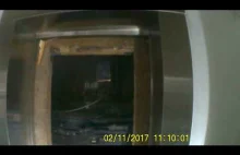 Upadek windy z 9 piętra wideo